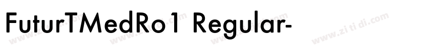 FuturTMedRo1 Regular字体转换 FuturTMedRo1 Regular字体转换
